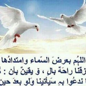 Meet your Posher, Samia